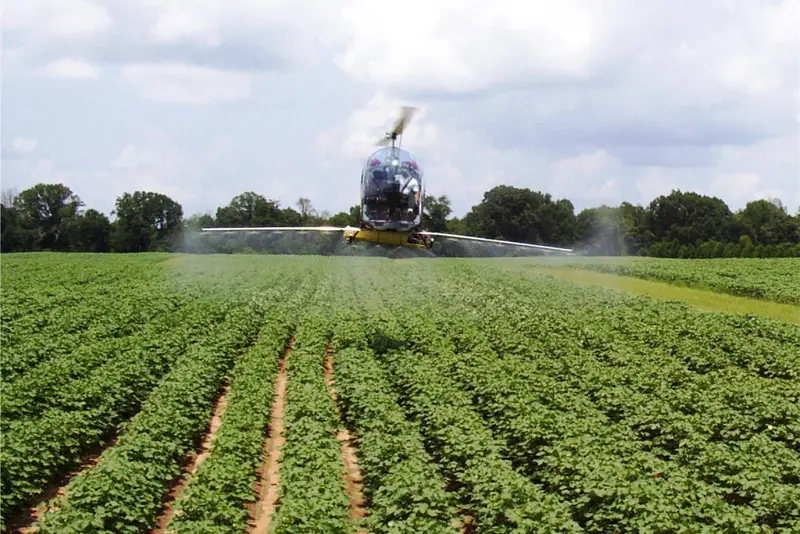 Safari 400 helicopter fitted with spray booms crop-spraying a field